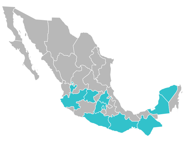 Palo de Yuca