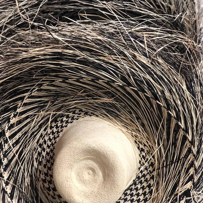 13 Process Palo de Yucca